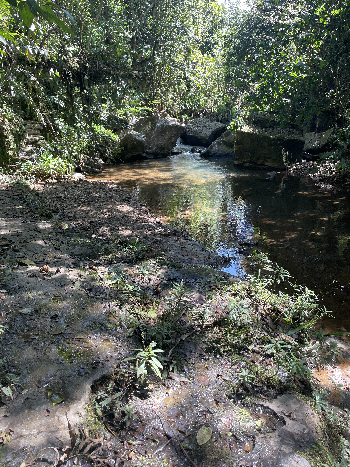 Der Regenbogen über der Finca Pozo El Pino